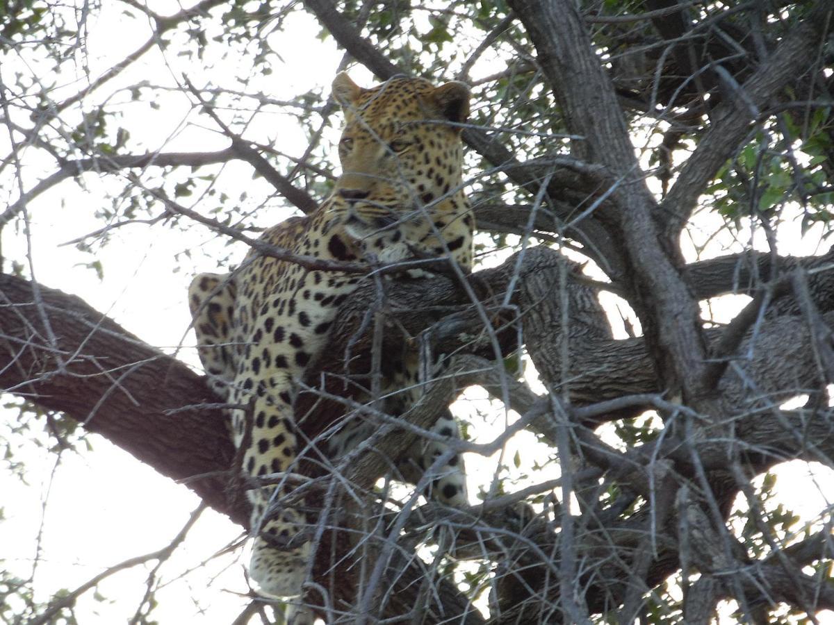 Aloegrove Safari Lodge Otjiwarongo Eksteriør bilde