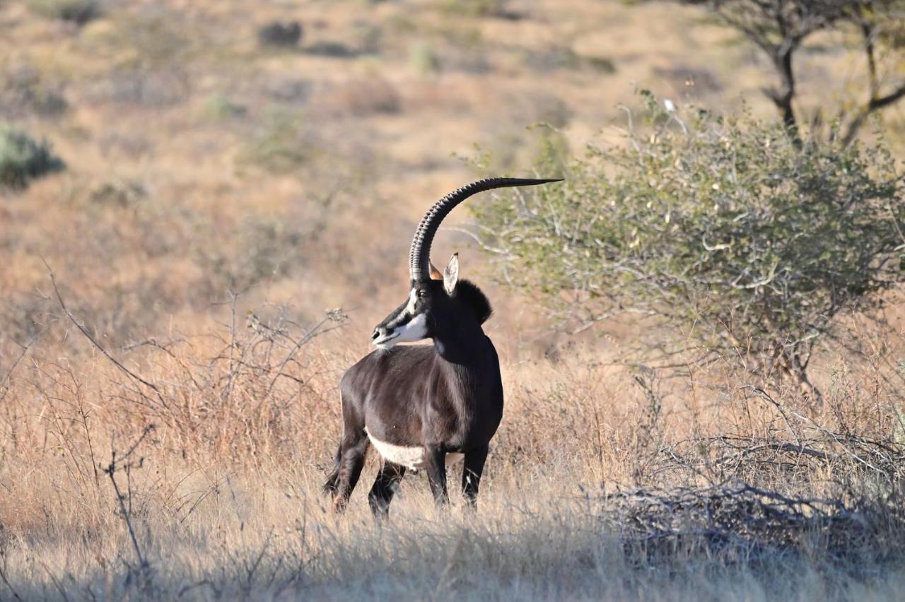 Aloegrove Safari Lodge Otjiwarongo Eksteriør bilde