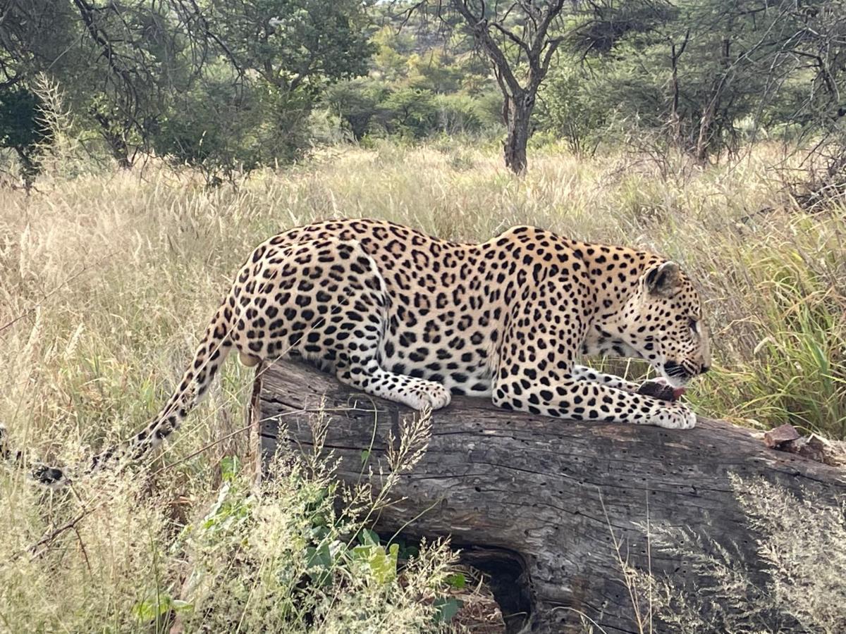 Aloegrove Safari Lodge Otjiwarongo Eksteriør bilde