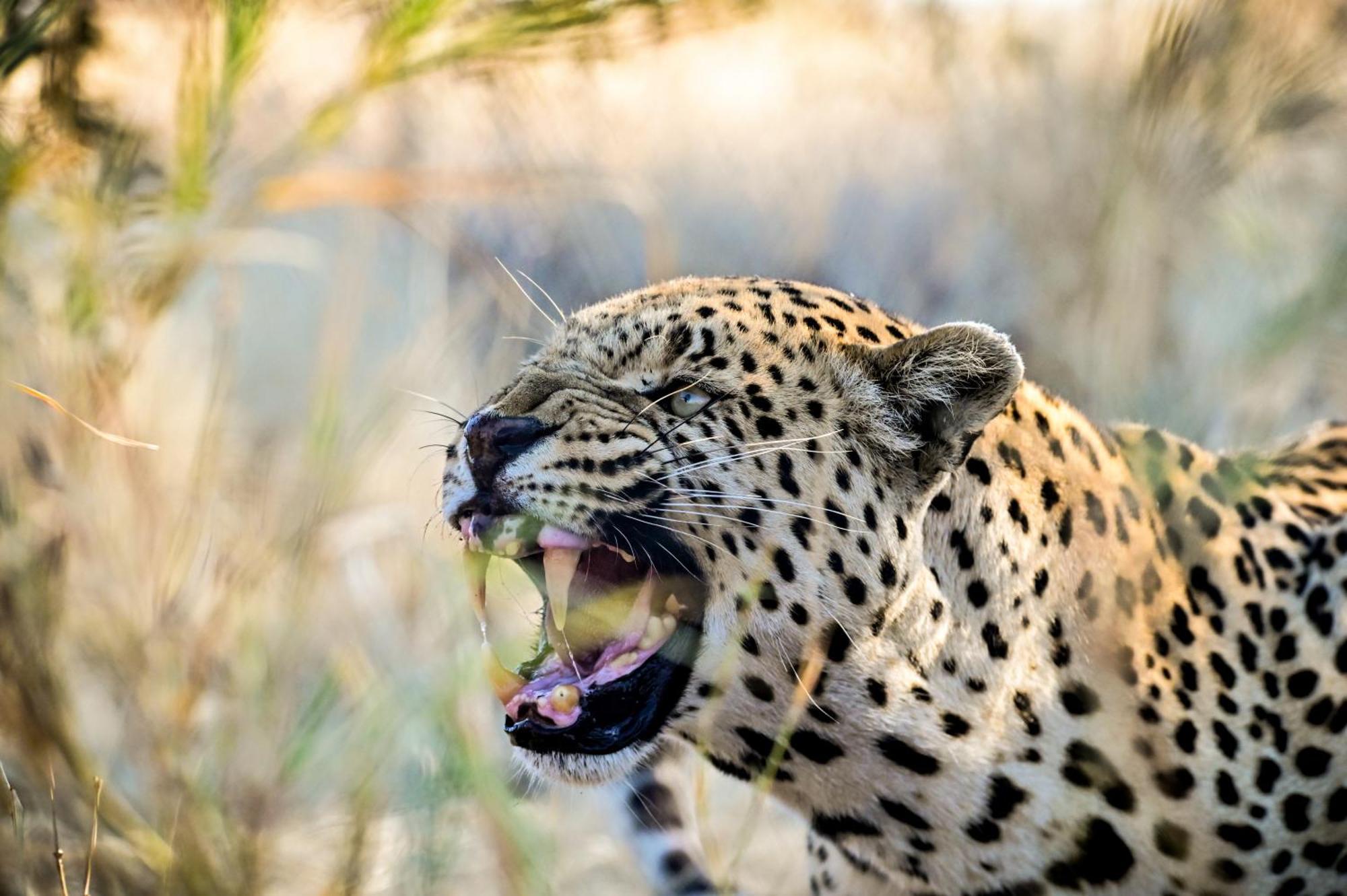 Aloegrove Safari Lodge Otjiwarongo Eksteriør bilde