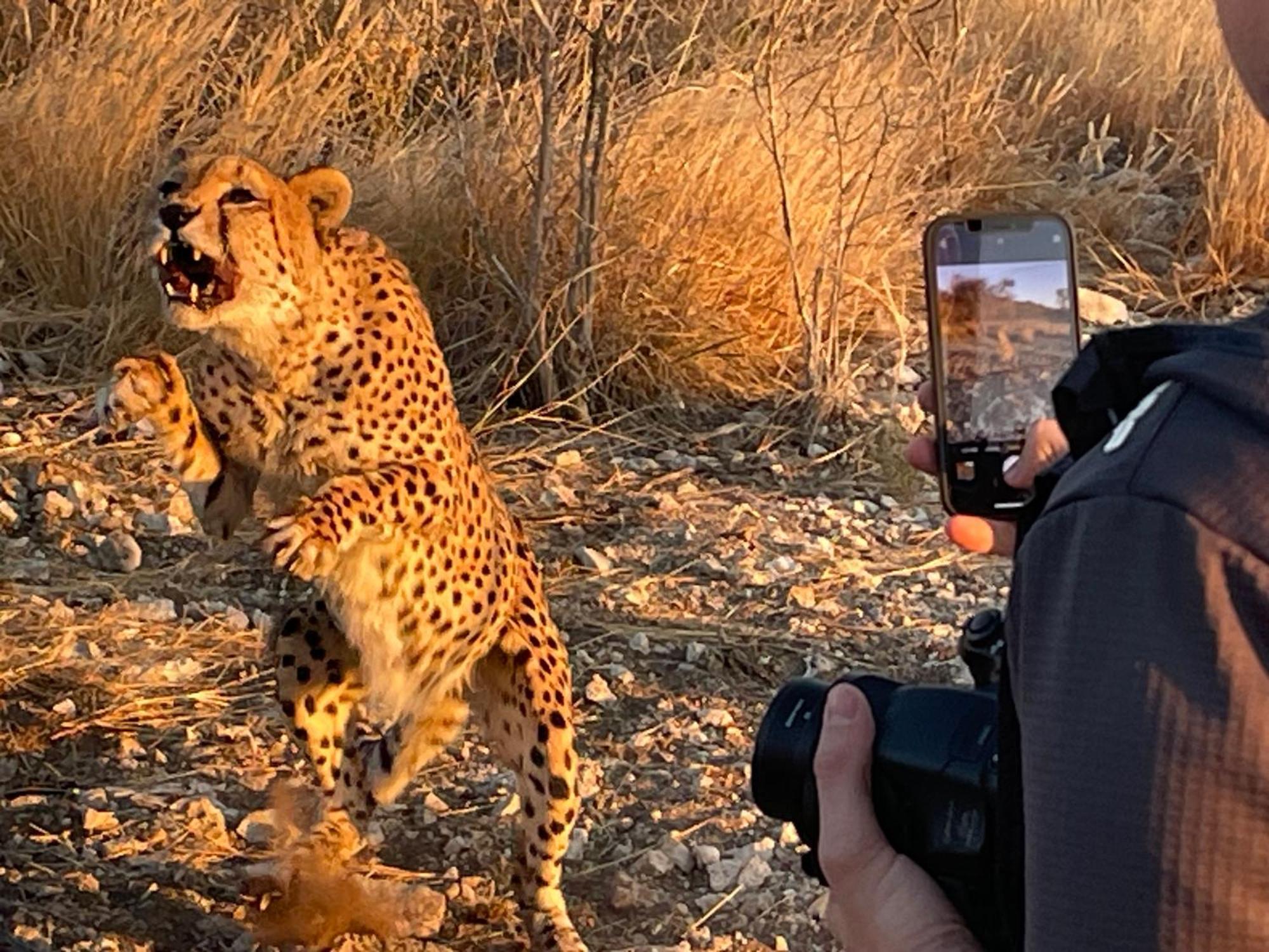Aloegrove Safari Lodge Otjiwarongo Eksteriør bilde